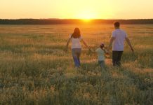 Family walks on green grass in meadow. Happy family, child, are walking in summer field, holding hands. Mom dad daughter walking together on nature. Parents, children are walking in park at sunset.